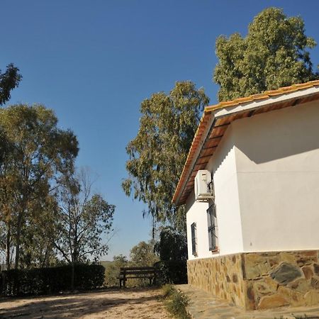 Casa Rural Casa De Las Aves 奥雷利亚纳拉维耶哈 外观 照片