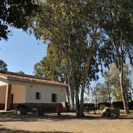 Casa Rural Casa De Las Aves 奥雷利亚纳拉维耶哈 外观 照片