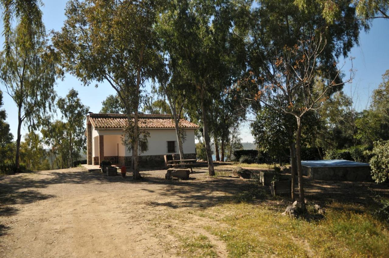 Casa Rural Casa De Las Aves 奥雷利亚纳拉维耶哈 外观 照片