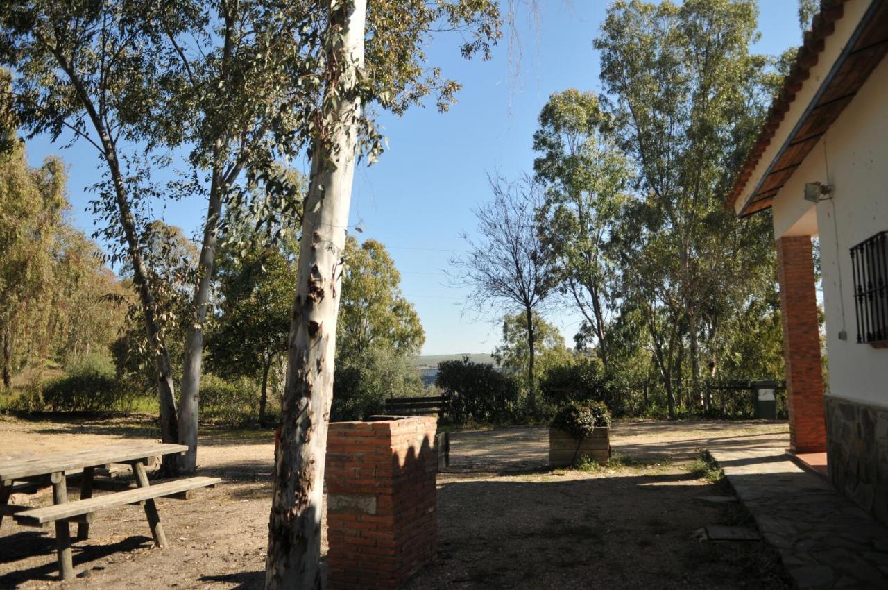 Casa Rural Casa De Las Aves 奥雷利亚纳拉维耶哈 外观 照片