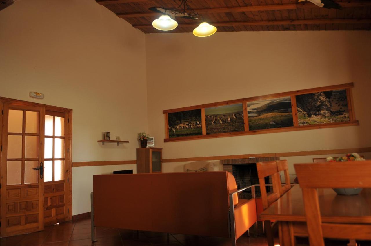 Casa Rural Casa De Las Aves 奥雷利亚纳拉维耶哈 外观 照片