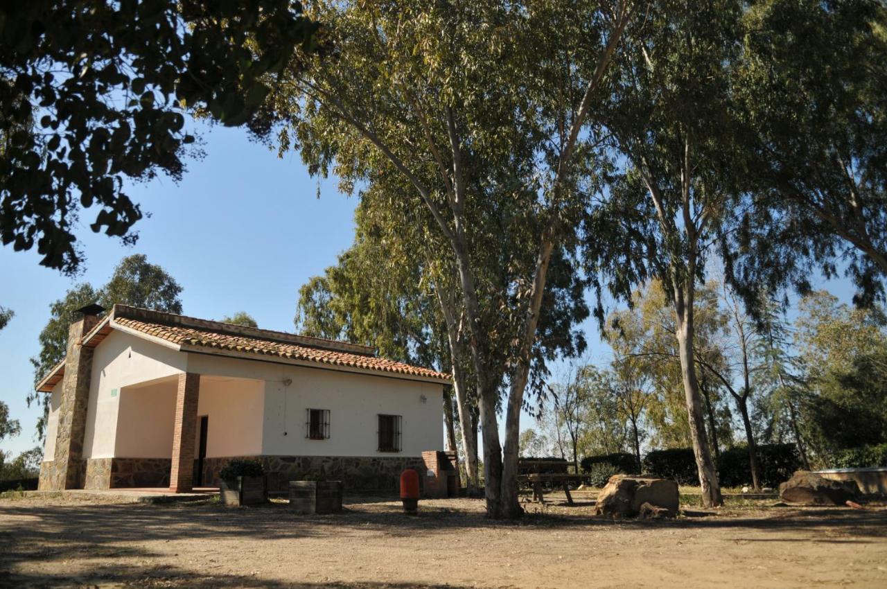 Casa Rural Casa De Las Aves 奥雷利亚纳拉维耶哈 外观 照片